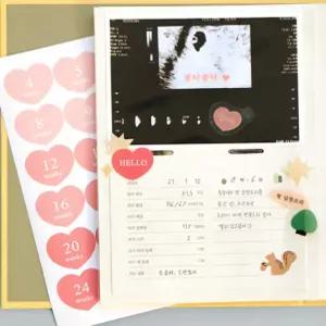 임신 다이어리 초음파 앨범 수유일지 아기 육아일기 예방접종 출산 선물 태교 수첩