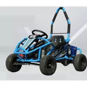 전동 카트 성인용 레이싱 라이더 경주 4륜 강력