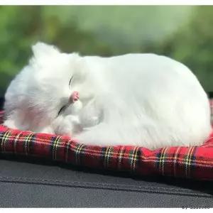 KC인증 리얼펫 고양이 미니캣 탈취제 인형 차량용 활성탄