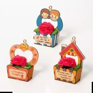 스칸디나비아모스 화분 카네이션만들기 인기