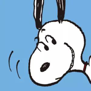 DIY 피너츠 하이 스누피 20X20 캔버스 그림그리기 페인팅