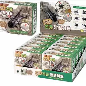 [12개세트] 랜덤 곤충 발굴 키트/과학키트,석고안에숨어있는곤충