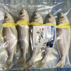 국산 민어 굴비 반건조 손질 생선 명절 수산물 구이용 제사