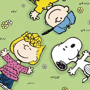 DIY 피너츠 스누피 들판 25X25 캔버스 그림그리기 페인팅