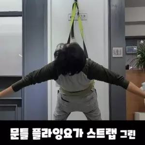 플라잉 그린 문틀 플라잉요가해먹 물구 해먹 스트랩 WD7ED54