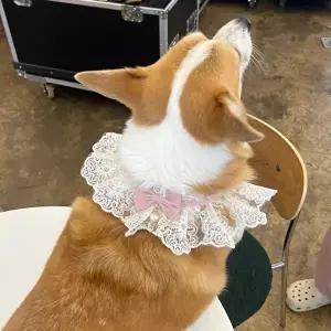 고품질 강아지 레이스 스카프 케이프 핑크 M 강아지스카프 강아지케이프 강아지턱받이 WFIQD7E