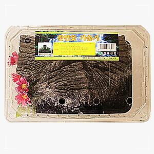 [2개구성] 다용도 탈취 요리 화분 미니 자연 인테리어 부작 GHW7F2956