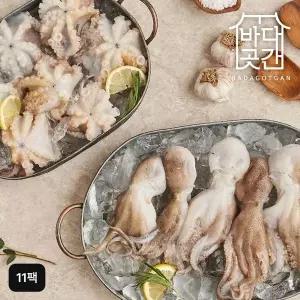 [NS홈쇼핑]바다곳간 주꾸미 300gX11팩 (총 110미)[35685586]