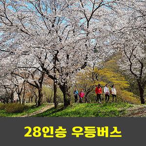 선운산 선운사 동백꽃 벚꽃 학원농장 청보리밭 안내산악회
