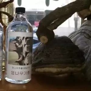 100% 원액 엄나무진액 기름 500ml (1병)