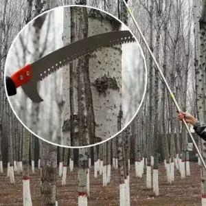 고지톱 전지 원예톱 장대톱 사고지 (WFKBFJ4)