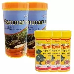 핑퐁 비치나 터틀300ml 3개+감마루스1000ml 2개 세트 ,1개