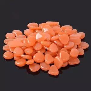 [알티피아]피치구매 어항 피치인기 샤이닝 피치 야광 20