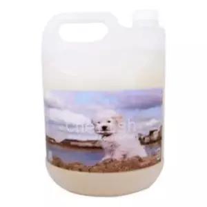 이 애견 약용샴푸 위생 체리쉬샴푸 벼룩방지 미용 4L 14AW3F69E7