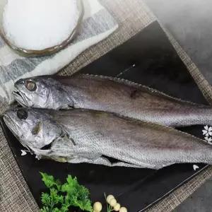 미진수산 제수용 반건조민어3미(35cm내외)