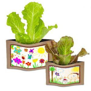 놀이키트 초등 관찰기록카드포함 상추키우기 오감