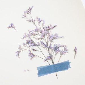 감성 인쇄 압화 스티커 미스티블루 7P 다꾸 폰꾸 데코