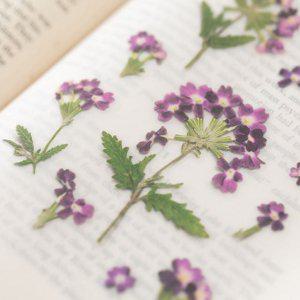 감성 인쇄 압화 스티커 버베나 7P 다꾸 폰꾸 꾸미기