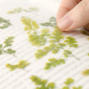 감성 인쇄 압화 스티커 아디안텀 7P 다꾸 폰꾸 꾸미기