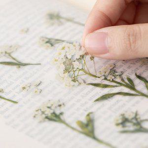 감성 인쇄 압화 스티커 알리숨 7P 다꾸 폰꾸 꾸미기