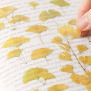 감성 인쇄 압화 스티커 은행 7P 다꾸 폰꾸 꾸미기