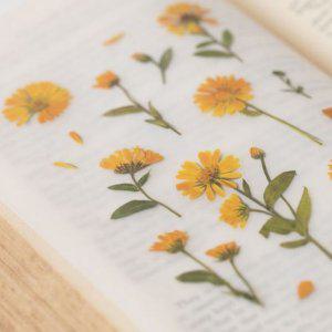 감성 인쇄 압화 스티커 카렌듈라 7P 다꾸 폰꾸 꾸미기