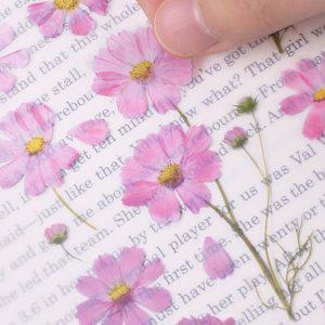 감성 인쇄 압화 스티커 코스모스 7P 다꾸 폰꾸 꾸미기