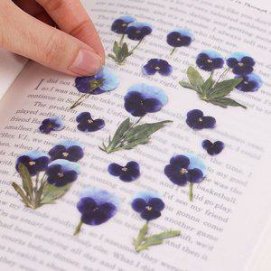감성 인쇄 압화 스티커 팬지 7P 다꾸 폰꾸 꾸미기