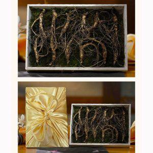 (강원도 치악산 산양삼)산양산삼 6년근-8년근 12뿌리 국내산100% 자연산 정품 오동나무+이끼+보자기