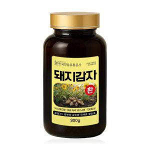 (6127) 돼지감자환