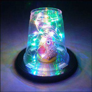 파스텔 초등과학교구 과학키드 실험 무지개 조명