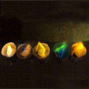 과학상자 실험 유아과학교구 과학 6세트 초등과