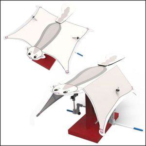 과학 교구 과학놀이 어린이선물 하늘다람쥐 유아