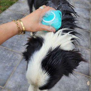 샴푸브러쉬 목욕 실리콘 고양이 개 죽은털 은이로 미