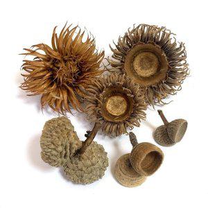 도토리 교과서 믹스 미술재료 DIY 가을 감성