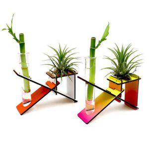 과학 이오난사 개운죽과 프레임팜아트