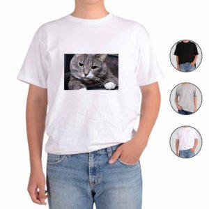 반팔티셔츠 반려동물 고양이 실물사진 실사 A10번 그림 다양한색상 전사이즈