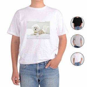 반팔티셔츠 반려동물 강아지 실물사진 실사 A1번 그림 다양한색상 전사이즈