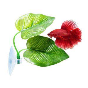 침대 하프문구매 하프문 베타 키우기 새우 꽃