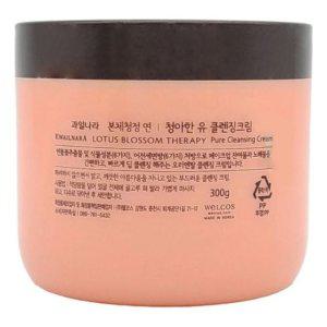 클렌징크림 폼클렌징 클렌징워터 폼클렌저 크림 워터 오일 젤 BT