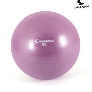 짐볼 보수 밸런스볼 운동 운동법 하프 미니 필라테스 발란스볼 다-이어트 짐볼 65cm 라일락