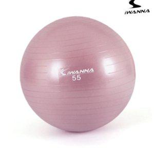 짐볼 보수 밸런스볼 운동법 하프 미니 필라테스 보수 다-이어트 짐볼 55cm 와일드핑크