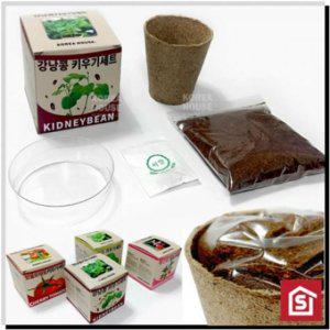 강낭콩 및 상추 씨앗 재배 미니 채소 가정용 정원 소형 재배기