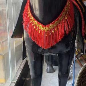 말들은 화려한 가슴 장식, 큰 가슴 장식, 안장 장식, 꽃 가슴 장식을 갖추고 있습니다.