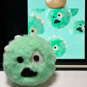 케이팝 아이돌 코르티스 팬 상품 동일 스타일 플러시 귀여운 키체인 백팩 키체인 케온호 주훈 마틴 성현 제임스 팬 선물