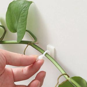 가정 정원 식물 등반 벽 고정장치 클립, 등나무 덩굴 고정 장치, 자체 접착 식물 등반 벽 고정 버클 후크, 10 개