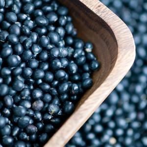 국내산 서리태 1kg 부터 검은콩 속청 산지직송 영양만점 블랙푸드 안토시아닌 풍부!