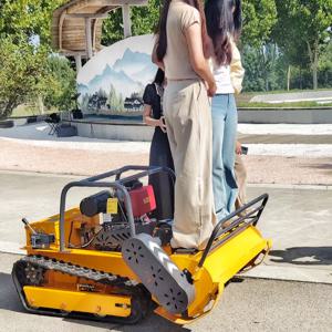 맞춤형 공장 가격 스마트 엔진 플레일 잔디깎이 크롤러 플레일 원격 잔디깎이 CE 인증 포함