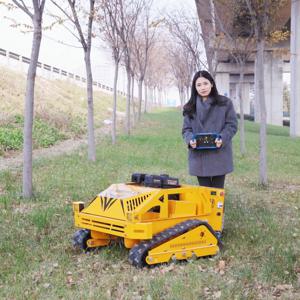 맞춤형 자동 상업용 잔디 깎는 로봇 4행정 산업용 소형 트랙 원격 제어 농장 잔디 잎