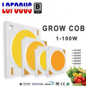 수경법 3W 5W 10W 20W 30W 50W 100W COB LED 식물 성장 빛 성장 칩 전체 스펙트럼 400-840nm 실내 식물 발아 성장 꽃 과일 과일 꽃 야채